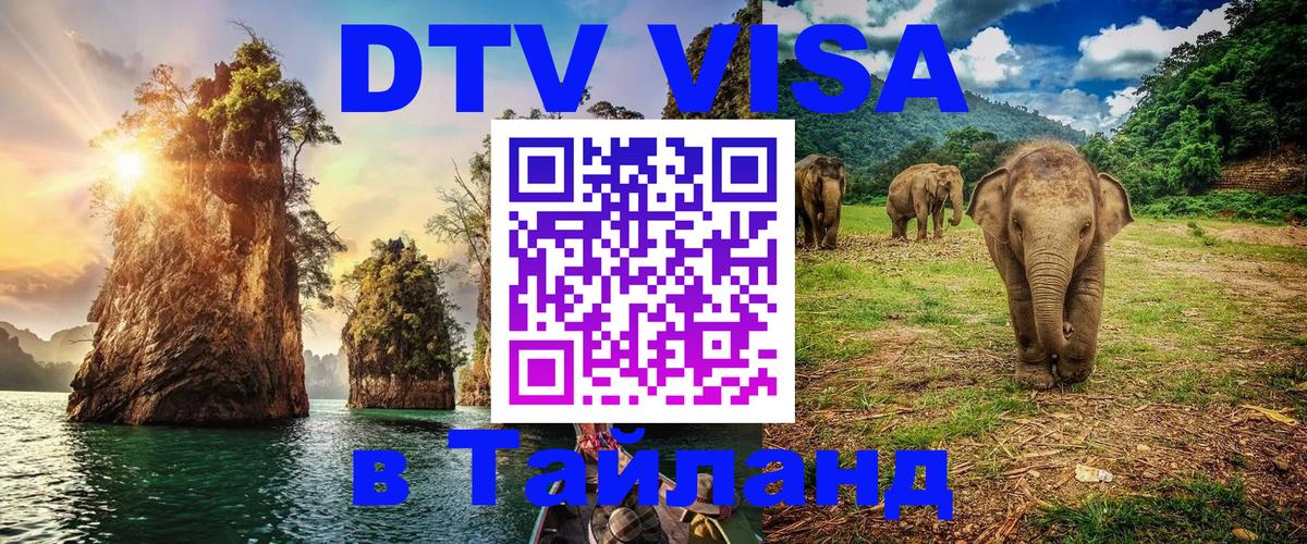 Оформление DTV визы под ключ: стоимость и тарифы, только загранпаспорт - 